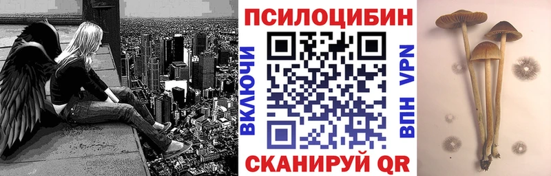 Псилоцибиновые грибы MAGIC MUSHROOMS  Купить где  Пересвет 